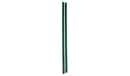 FORTINET POORTPAAL Ø76MM L=2.50M RAL6005 GROEN